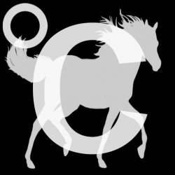 Cold In Berlin : The White Horse